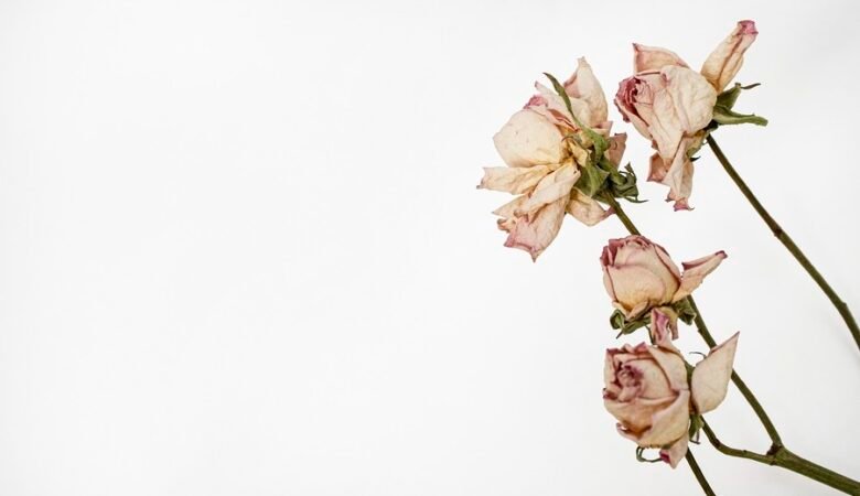 La Flora di Döderlein: un giardino da coltivare