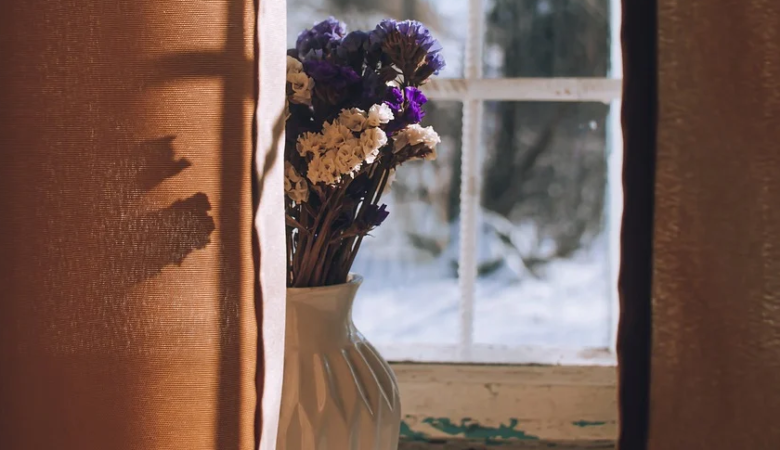 Alla vostra vagina, offrite la flora!