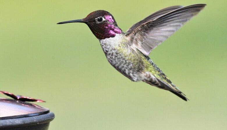 È possibile sbarazzarsi definitivamente della cistite?