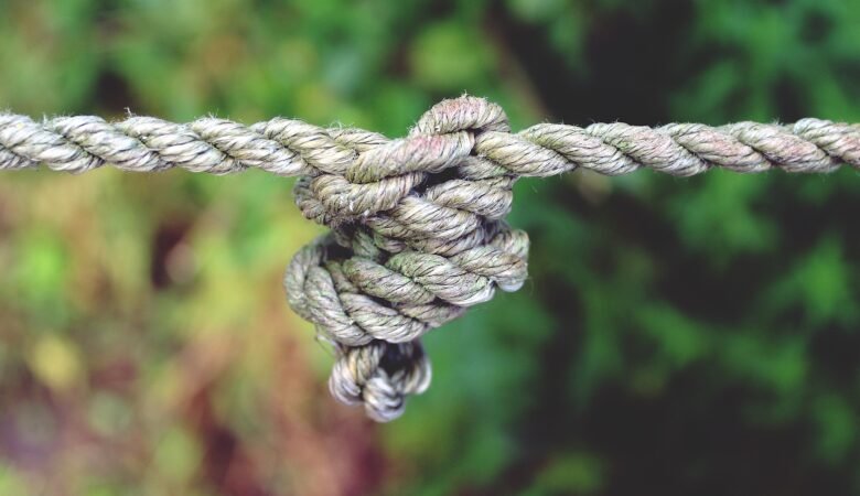 La valutazione del pavimento pelvico: per chi, perché, come