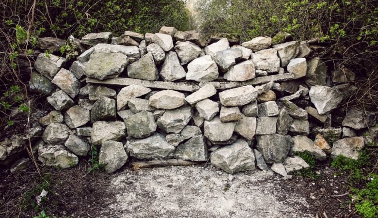 Differenze tra cistite batterica e cistite abatterica