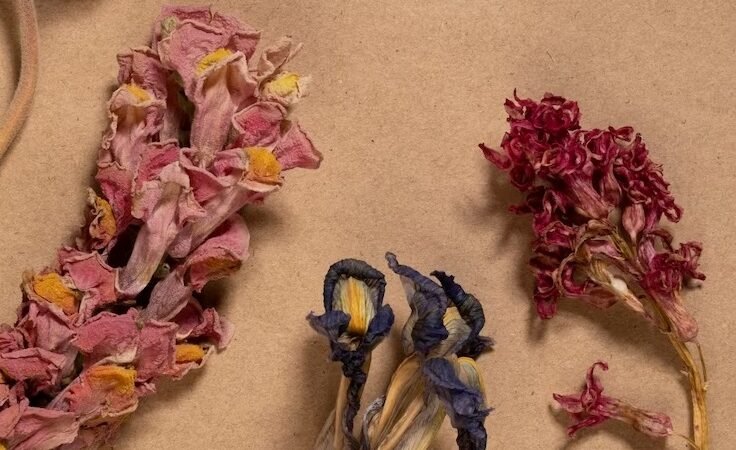 Cistiti e dolori vulvovaginali