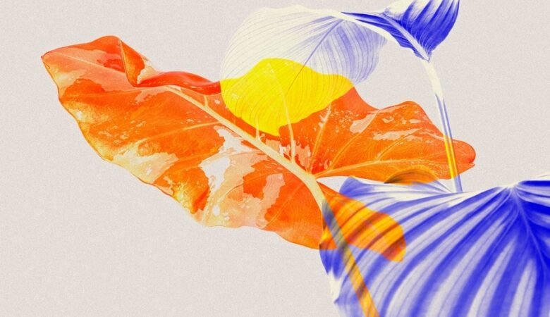 Ureaplasma e Micoplasma