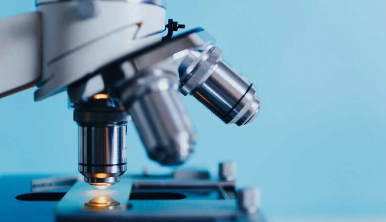 Disbiosi intestinale: quali test per un’analisi del microbiota?