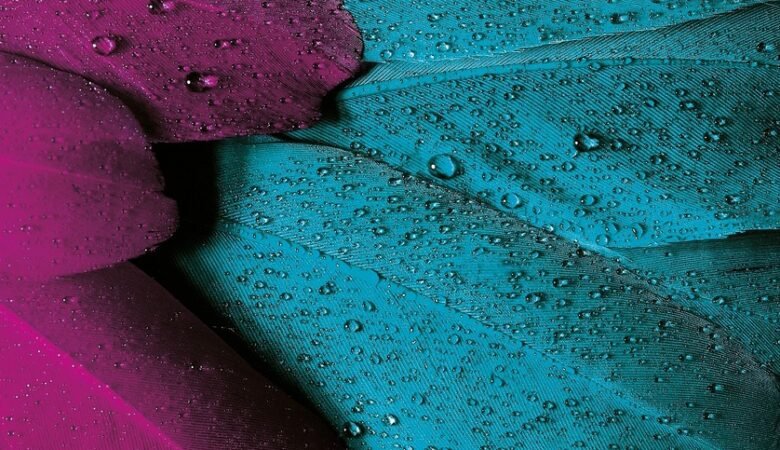 Instillazioni endovescicali di acido ialuronico