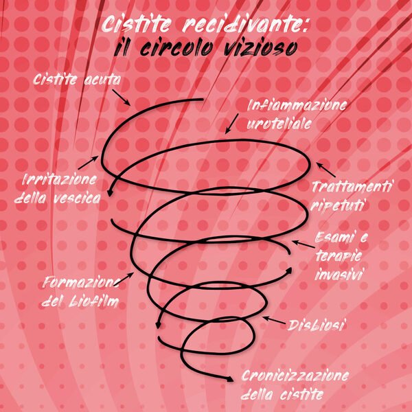 Cistiti recidivanti: come una problematica 'semplice' diventa cronica