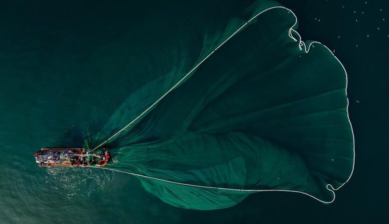 Cistite abatterica: sintesi