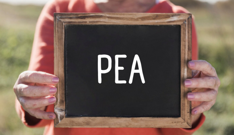 IBS, SIBO e iperpermeabilità intestinale: vantaggi della PEA