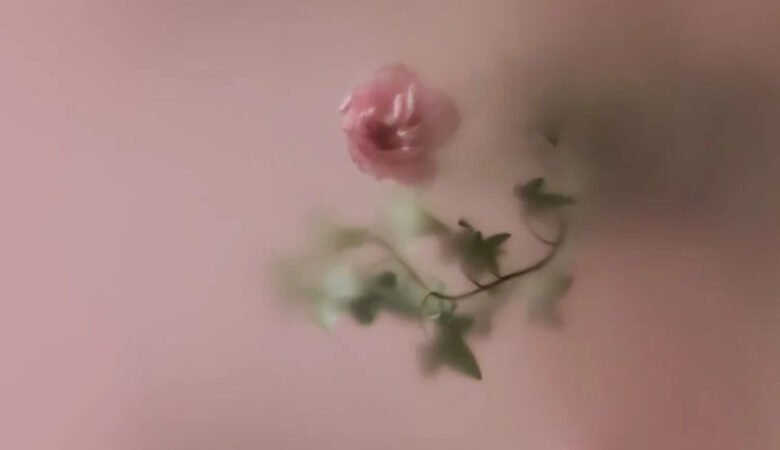 Ritrovare sollievo intimo ripristinando trofismo e idratazione delle mucose